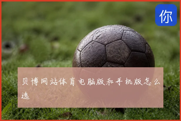 贝博网站体育电脑版和手机版怎么选